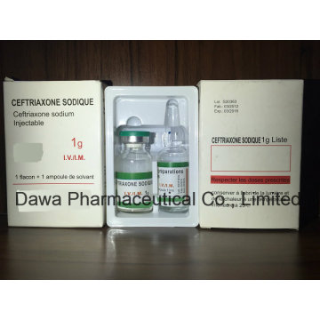 Médicament général Ceftriaxone Sodium Injection